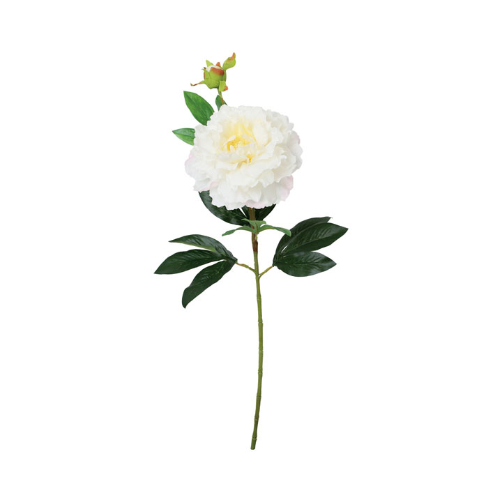 フリルピオニー