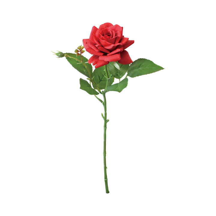 コンラッドローズ