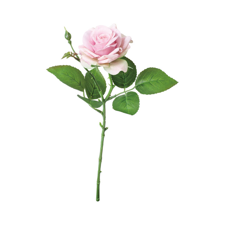 コンラッドローズ