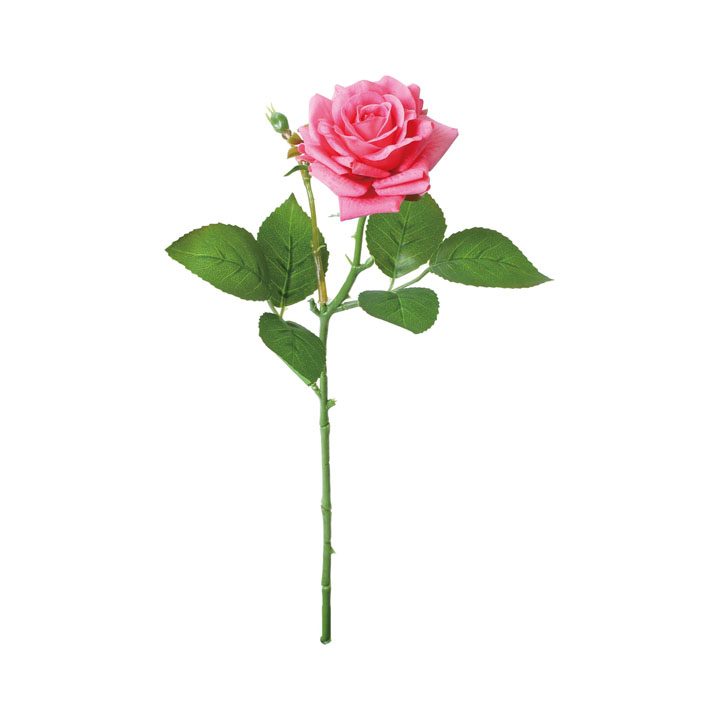 コンラッドローズ