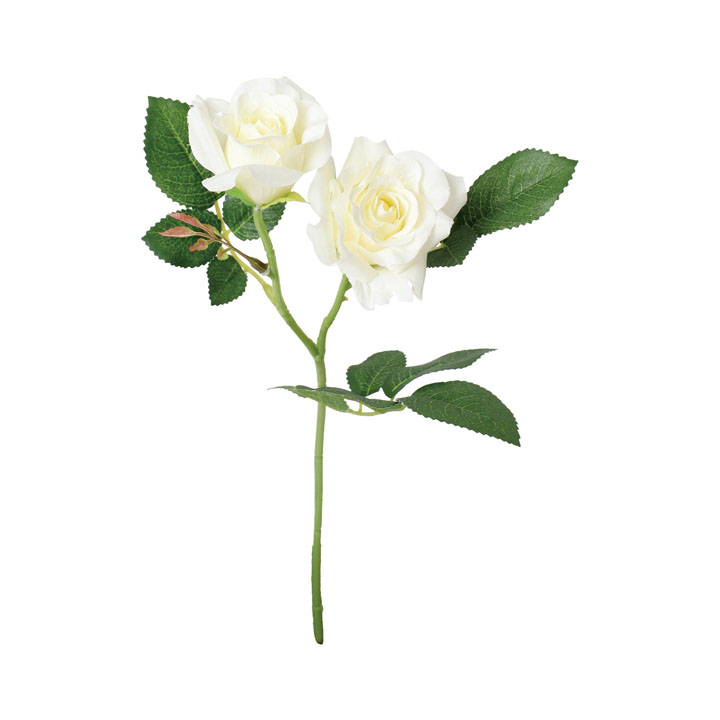 ブランシェローズスプレー