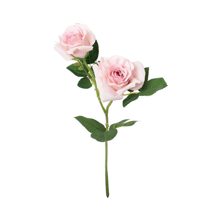 ブランシェローズスプレー