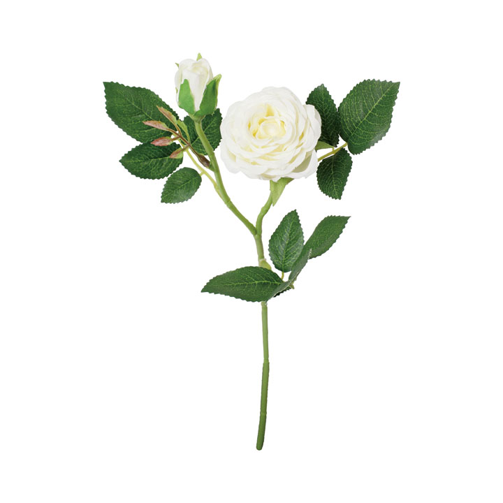 シフォンローズスプレー