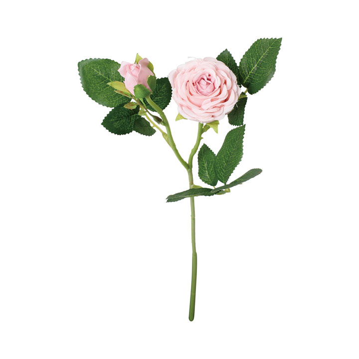 シフォンローズスプレー