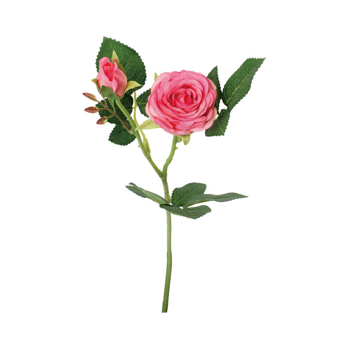 シフォンローズスプレー