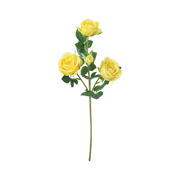 セシリアローズスプレー