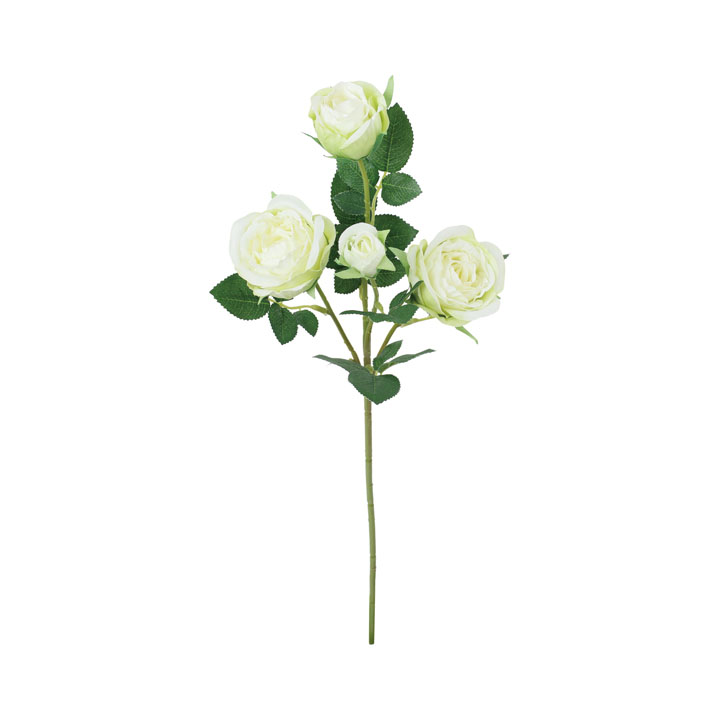 セシリアローズスプレー