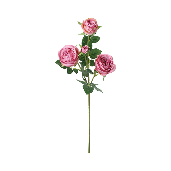 セシリアローズスプレー