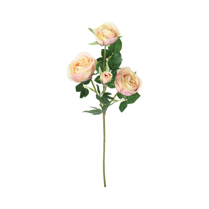 セシリアローズスプレー