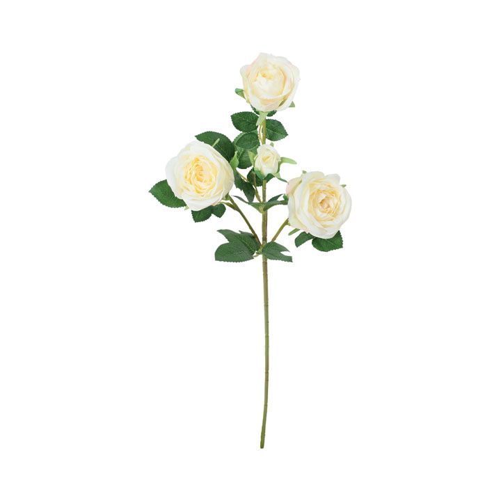 セシリアローズスプレー