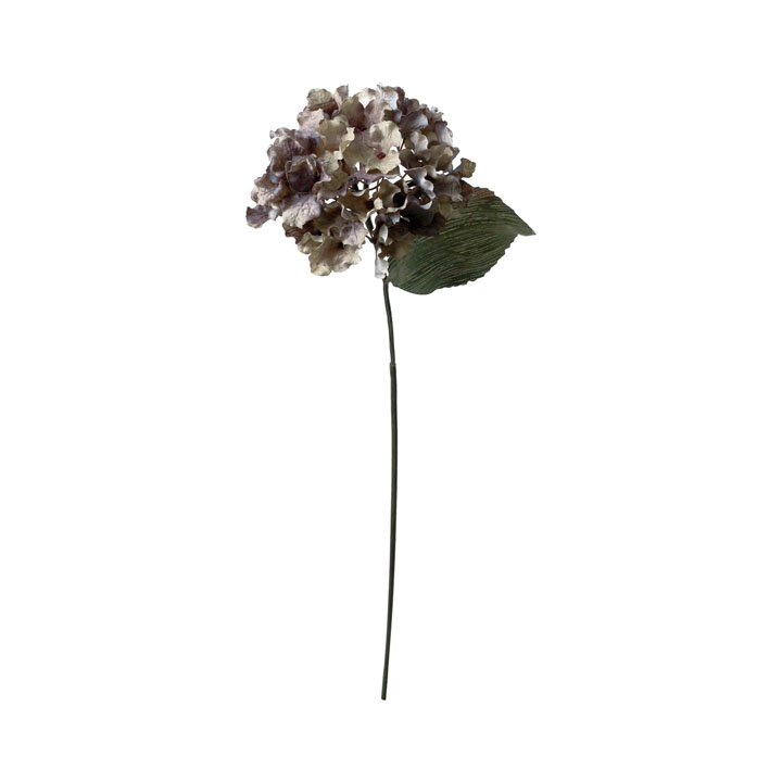 セピアハイドレンジア