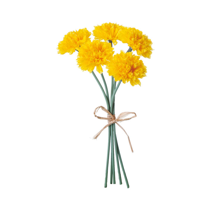 ミニピンポンマムピック