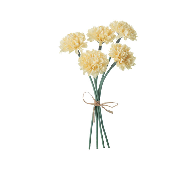 ミニピンポンマムピック