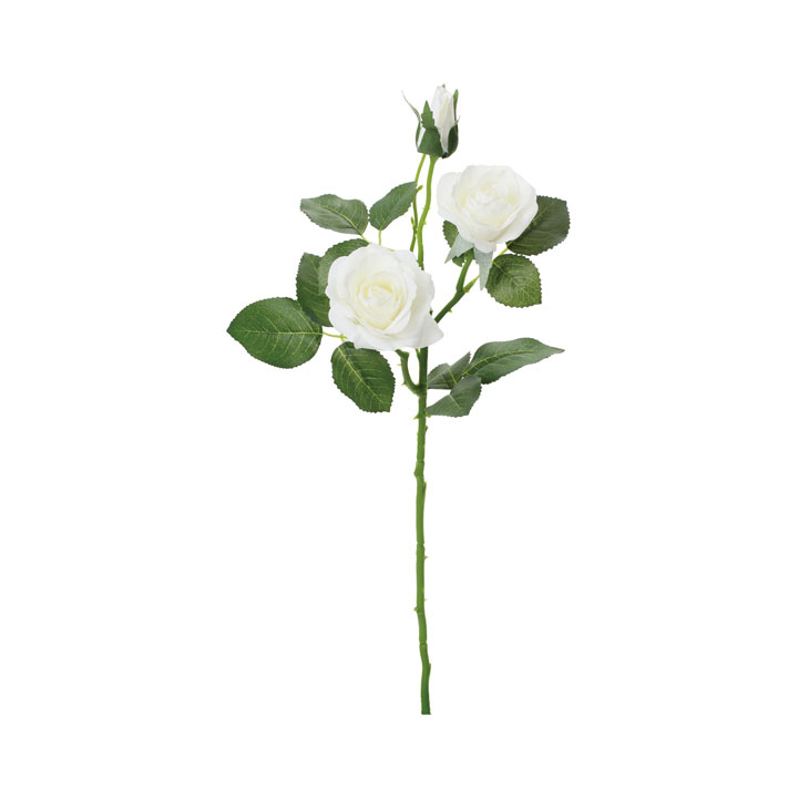 マデリーンローズスプレー