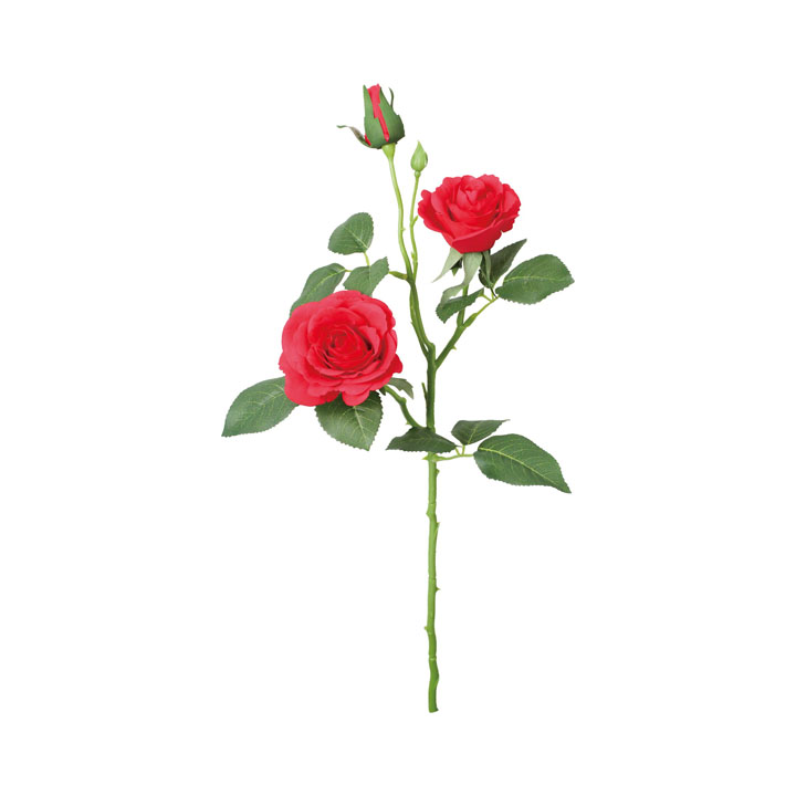 マデリーンローズスプレー