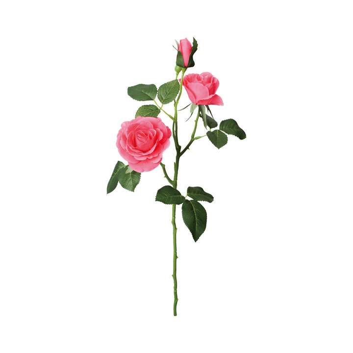 マデリーンローズスプレー