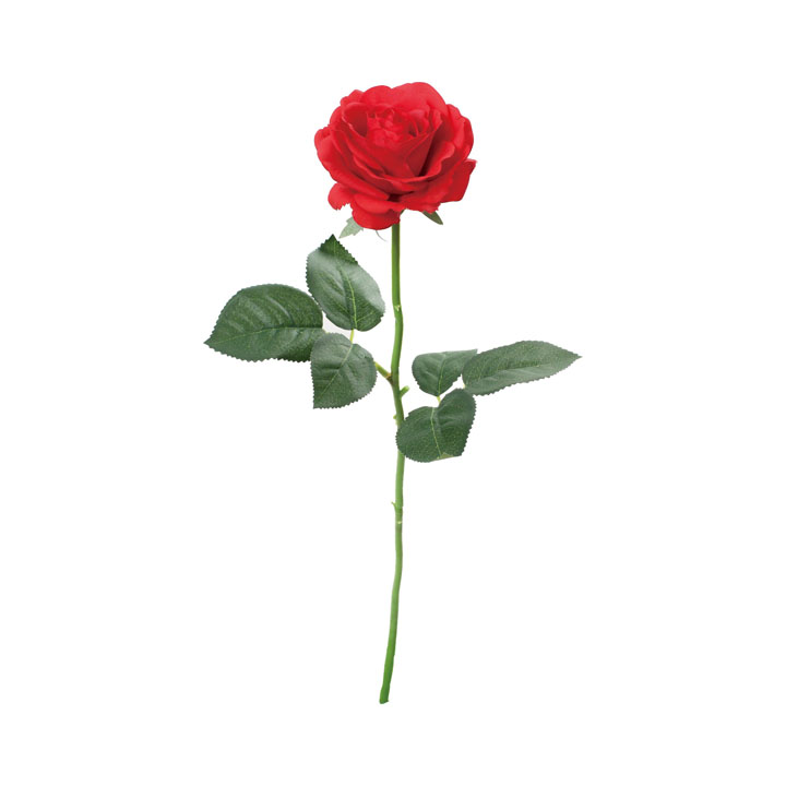 スカーレットローズ