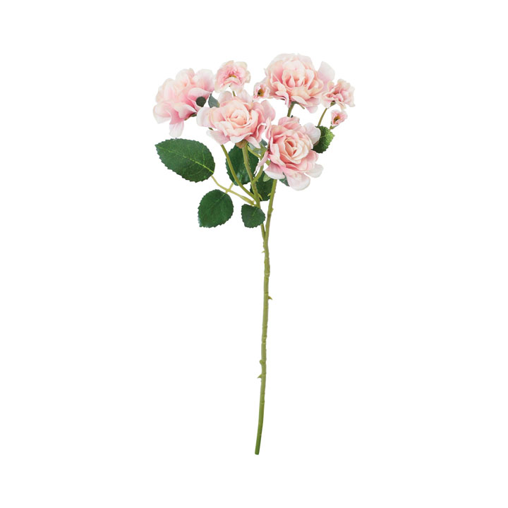 アストラルローズスプレー