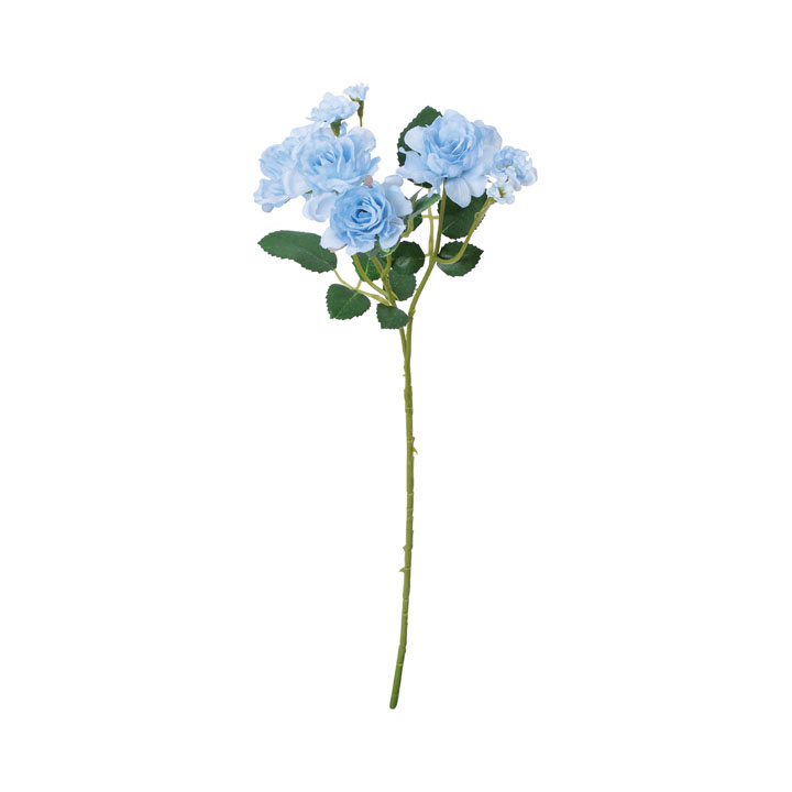 アストラルローズスプレー