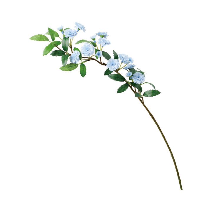 モッコウバラスプレー