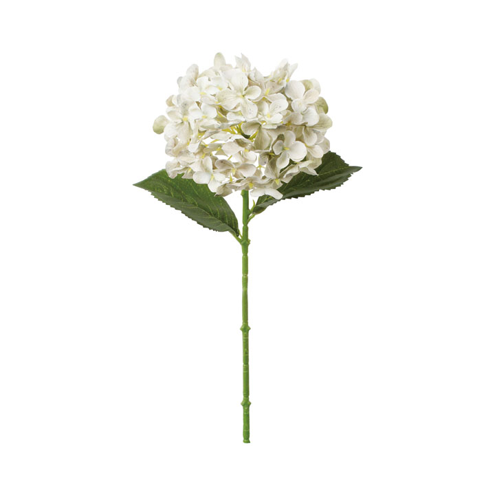 フレッシュハイドレンジア