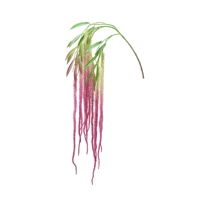 アマランサスハンガー