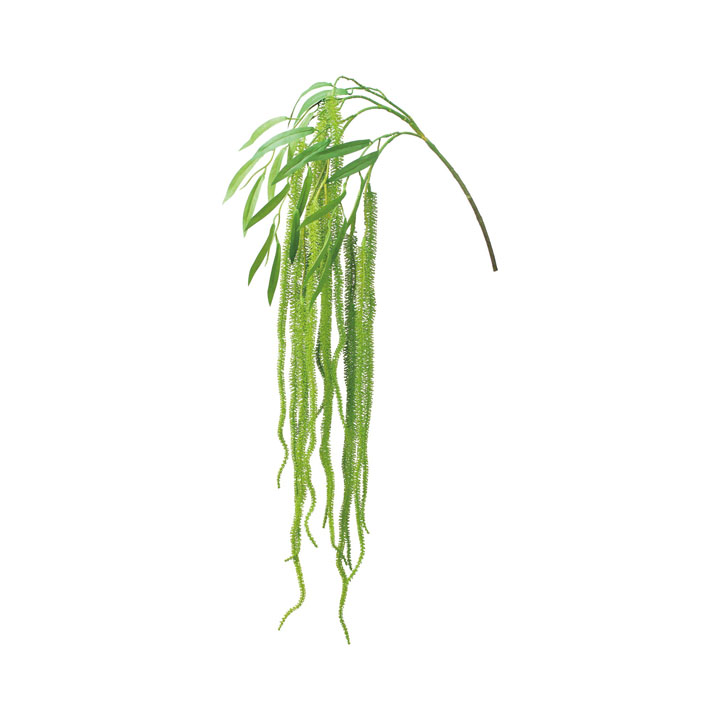 アマランサスハンガー