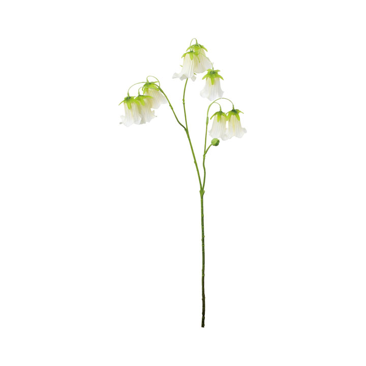 カンパニュラスプレー