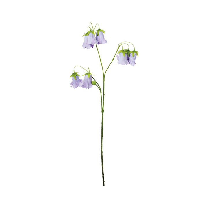 カンパニュラスプレー