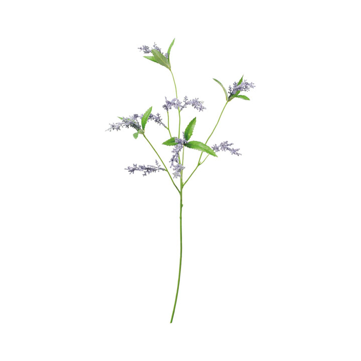 ベロニカスプレー