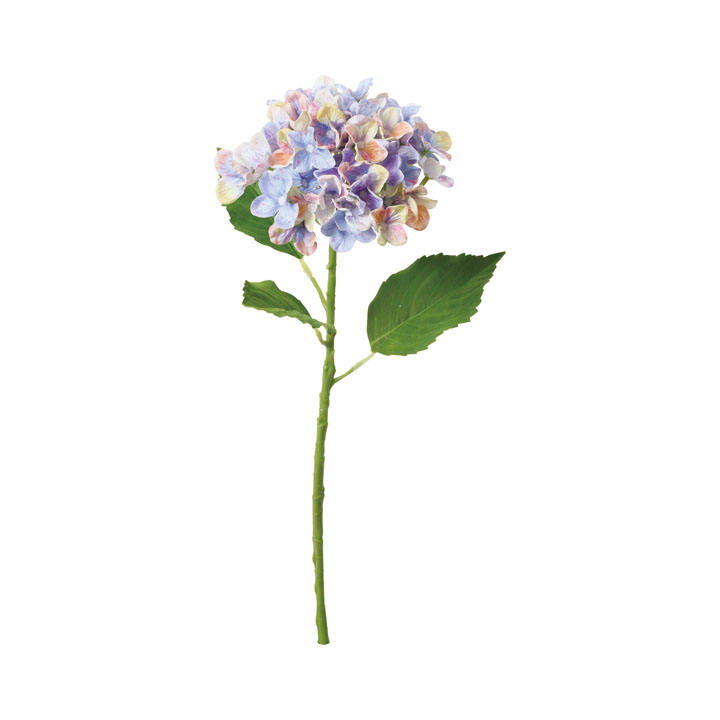 パステルミックスハイドレンジア