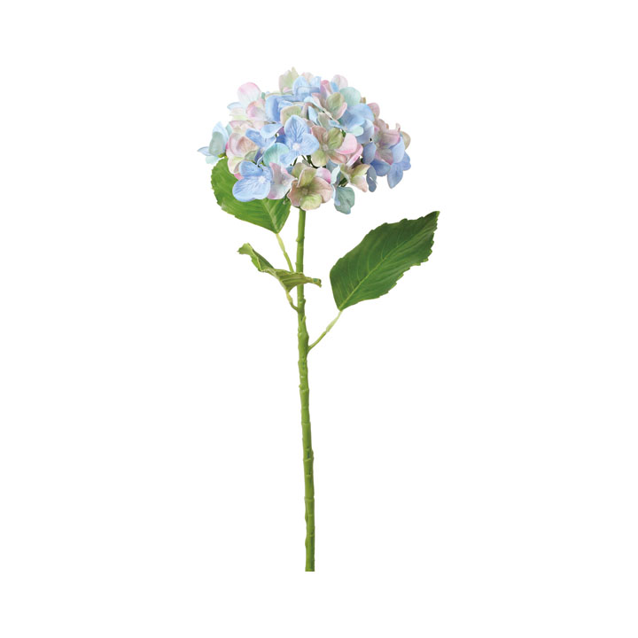 パステルミックスハイドレンジア