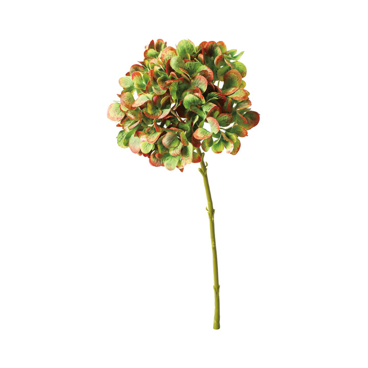 マジカルハイドレンジア