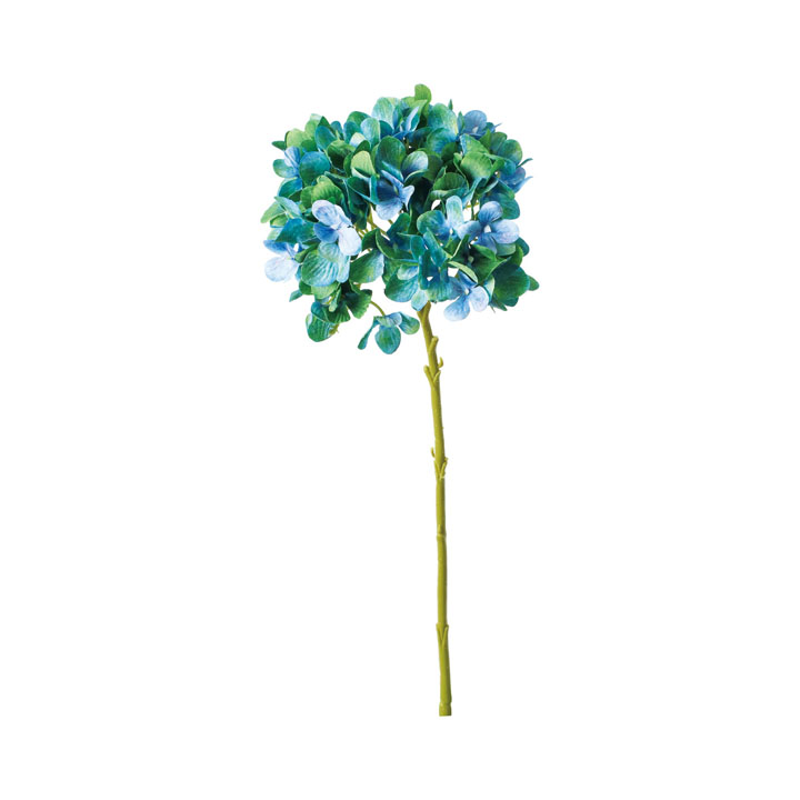 マジカルハイドレンジア