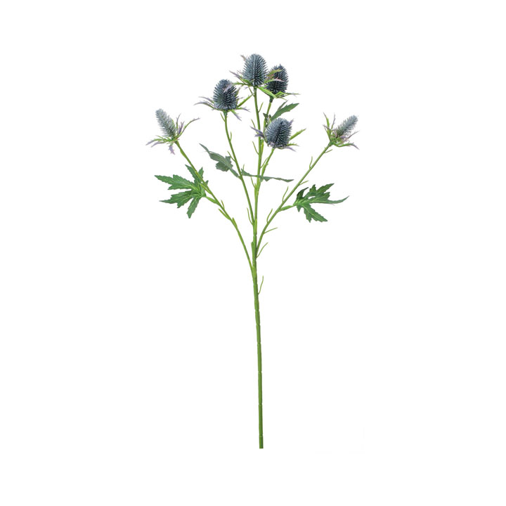 エリンジウムスプレー