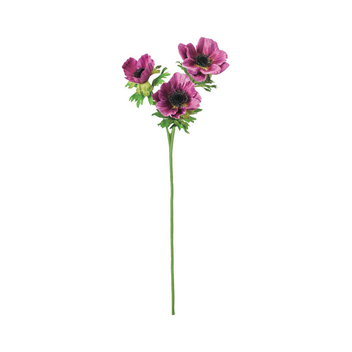 アネモネスプレー