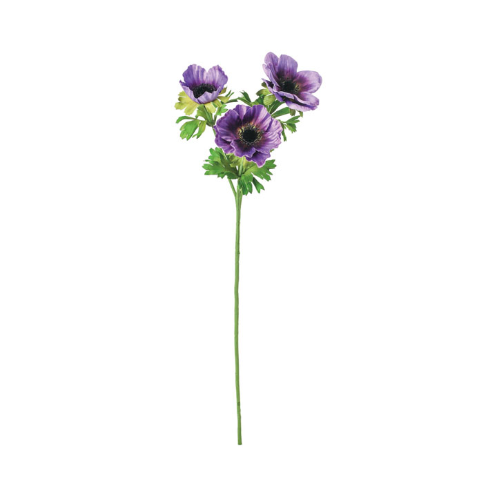 アネモネスプレー