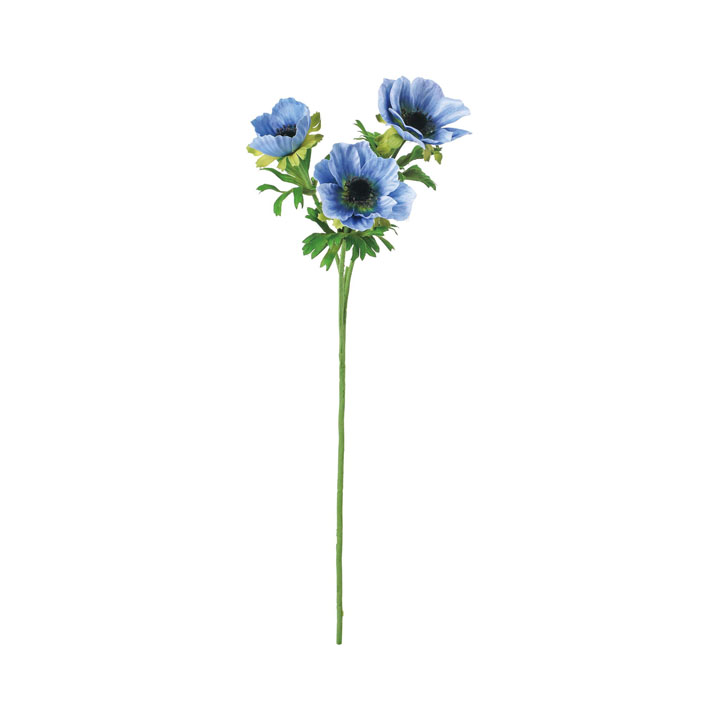 アネモネスプレー