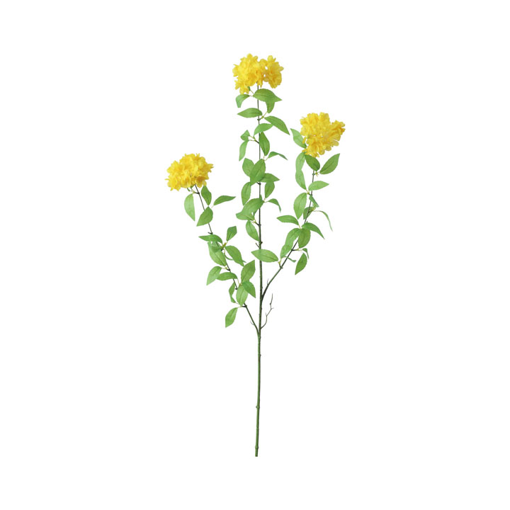 エリシマムロングスプレー