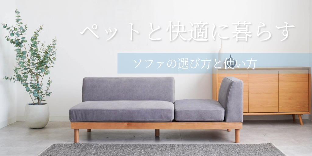 ペットと暮らす、ソファの最適解
